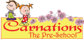 Carnations 